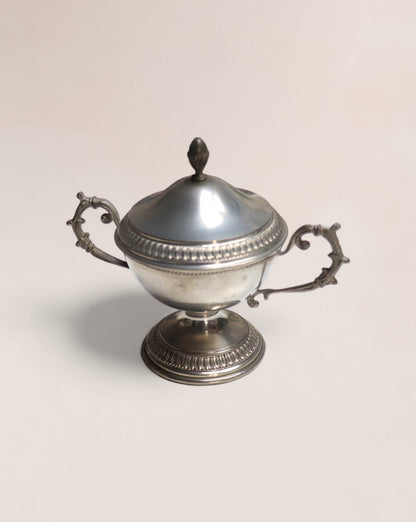 Exquisite Pewter and Porcelain Service Set
