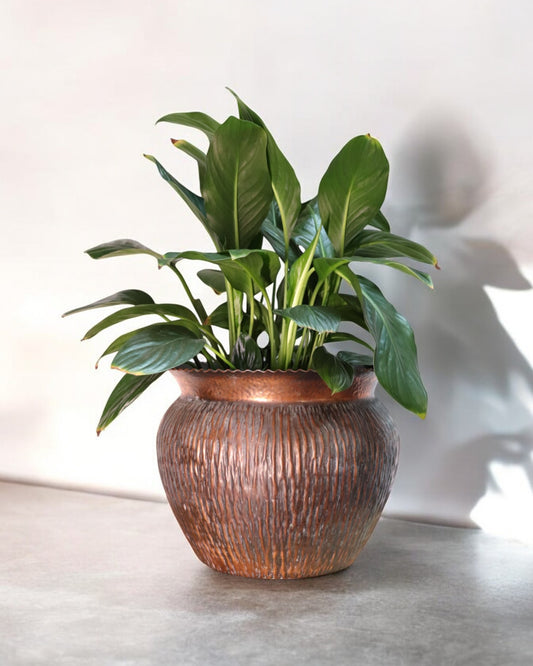 Early 1900s Italian Handmade Copper Flowerpot